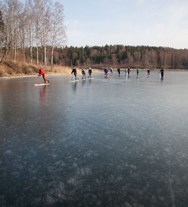 toukekelgumatk-Pyhajarve-jaal-KalmerLehepuu-midatehalounaeestis