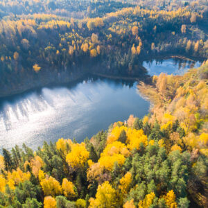 zf_SvenZacek_211011_032